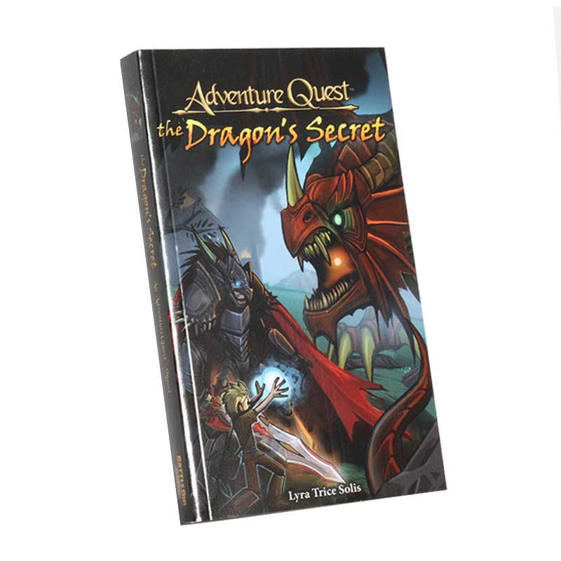 The Dragon's Secret - Book Books - Heromart